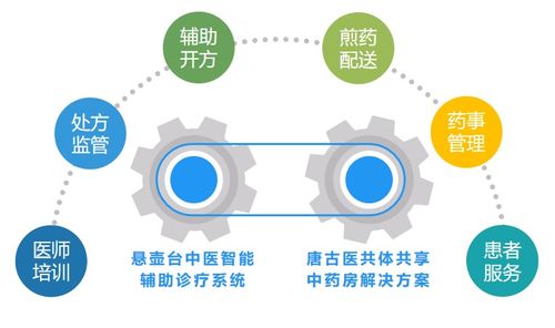 唐古信息攜手微醫蓮芯健康 啟動縣域醫共體中醫藥服務雙引擎網絡信息技術推廣服務